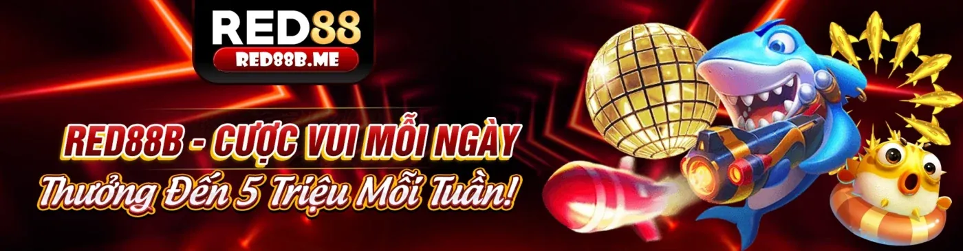Hình ảnh kêu gọi tham gia chương trình VIP 5icse